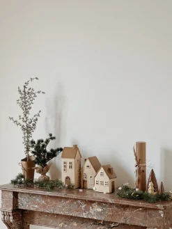 Sélection M Sapin cèdre New